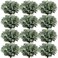 Janinka Mixed Eucalyptus Leaves Stems Bulk with White Seeds Artificial Silver Dollar Leaves Sprays Faux Oval for Wreath Garland Floral Bouquets Arrangement Wedding Greenery Decoration60 Pcs