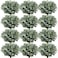 Janinka Mixed Eucalyptus Leaves Stems Bulk with White Seeds Artificial Silver Dollar Leaves Sprays Faux Oval for Wreath Garland Floral Bouquets Arrangement Wedding Greenery Decoration60 Pcs