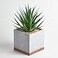 Seirai Living Co 8 Inch Artificial Succulents in Pots Artificial Plant Decor Faux Succulents Plants Artificial Fake Office Desk Plant Coffee Table Shelf Decor Sword Grass