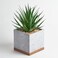 Seirai Living Co 8 Inch Artificial Succulents in Pots Artificial Plant Decor Faux Succulents Plants Artificial Fake Office Desk Plant Coffee Table Shelf Decor Sword Grass