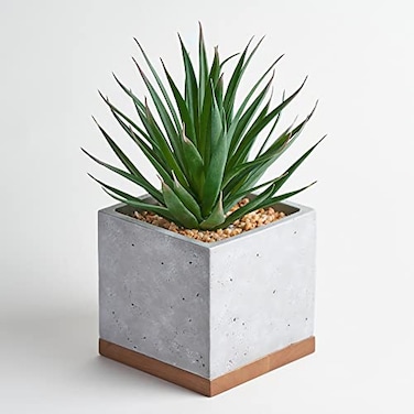 Seirai Living Co 8 Inch Artificial Succulents in Pots Artificial Plant Decor Faux Succulents Plants Artificial Fake Office Desk Plant Coffee Table Shelf Decor Sword Grass