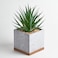 Seirai Living Co 8 Inch Artificial Succulents in Pots Artificial Plant Decor Faux Succulents Plants Artificial Fake Office Desk Plant Coffee Table Shelf Decor Sword Grass