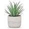 Der Rose Fake Succulents Plants Artificial Succulents in Pots for Room Home Bathroom Bedroom Office Boho Decor