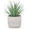 Der Rose Fake Succulents Plants Artificial Succulents in Pots for Room Home Bathroom Bedroom Office Boho Decor