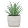 Der Rose Fake Succulents Plants Artificial Succulents in Pots for Room Home Bathroom Bedroom Office Boho Decor