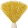 Mandy's Mandys Gold Silk Pampas Grass Bouquet 20 Stems 177in Fluffy Artificial Pampas with Bendable Stems for Valentines Day and Easter Decorations Wedding Centerpiece Home Boho Dcor