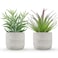 Der Rose 2 Pack Fake Succulents Plants Artificial Succulents in Pots for Room Home Bathroom Bedroom Office Boho Decor