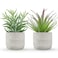 Der Rose 2 Pack Fake Succulents Plants Artificial Succulents in Pots for Room Home Bathroom Bedroom Office Boho Decor