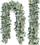 Ouddy Decor 2 Pack Eucalyptus Garland Total 131 Ft Lush Silver Dollar Leaves Boxwood Artificial Faux Greenery Vines for Baby Shower Wedding Party Table Runner Room Home Mantle Decor