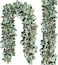 Ouddy Decor 2 Pack Eucalyptus Garland Total 131 Ft Lush Silver Dollar Leaves Boxwood Artificial Faux Greenery Vines for Baby Shower Wedding Party Table Runner Room Home Mantle Decor