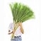 Wttisel 38 10 Stems Tall Pampas Grass Decor Faux Pampas Grass for Floor Vase Fluffy Artificial Pampas Grass for Boho Home Wedding Mothers Day DecorationGreen