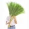 Wttisel 38 10 Stems Tall Pampas Grass Decor Faux Pampas Grass for Floor Vase Fluffy Artificial Pampas Grass for Boho Home Wedding Mothers Day DecorationGreen