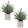 Coferset 2 Pack Small Fake Plants Rosemary Potted Artificial Plants for Shelf Desk Home Bathroom Farmhouse Room Coffee Table Decor Green