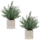 Coferset 2 Pack Small Fake Plants Rosemary Potted Artificial Plants for Shelf Desk Home Bathroom Farmhouse Room Coffee Table Decor Green