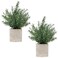 Coferset 2 Pack Small Fake Plants Rosemary Potted Artificial Plants for Shelf Desk Home Bathroom Farmhouse Room Coffee Table Decor Green