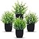 Der Rose 4 Packs Fake Plants Small Artificial Mini Faux Plants for Bathroom Home Office Shelf Black Decor Indoor