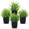 Der Rose 4 Packs Fake Plants Small Artificial Mini Faux Plants for Bathroom Home Office Shelf Black Decor Indoor