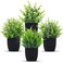 Der Rose 4 Packs Fake Plants Small Artificial Mini Faux Plants for Bathroom Home Office Shelf Black Decor Indoor