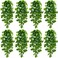 BLEUM CADE Fake Hanging Plants 8pcs Artificial Pothos Vines Greenery for Wall Home Living Room Office Indoor Outdoor Decor No Baskets