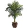 Nearly Natural 45ft Golden Cane Palm with Decorative Container