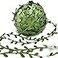 Hecaty 269ft Leaf Ribbon Artificial Vines Leaf String Trim Ribbon for Baby Shower Jungle Wild Botanical Greenery Spring Wedding Home Party Decorations Balloon Garland Wreaths DIY Craft
