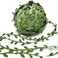 Hecaty 269ft Leaf Ribbon Artificial Vines Leaf String Trim Ribbon for Baby Shower Jungle Wild Botanical Greenery Spring Wedding Home Party Decorations Balloon Garland Wreaths DIY Craft