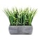 Restaurantware 63 x 102 Inch Faux Succulent Arrangement 1 Artificial Succulent In Gravel Concrete Planter Use As Table Or Shelf Decor Centerpiece Plastic Fake Desk Plant Rectangular