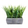 Restaurantware 63 x 102 Inch Faux Succulent Arrangement 1 Artificial Succulent In Gravel Concrete Planter Use As Table Or Shelf Decor Centerpiece Plastic Fake Desk Plant Rectangular
