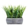 Restaurantware 63 x 102 Inch Faux Succulent Arrangement 1 Artificial Succulent In Gravel Concrete Planter Use As Table Or Shelf Decor Centerpiece Plastic Fake Desk Plant Rectangular
