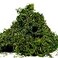 Melostu Fake Moss for Crafts Artificial Green Moss for Potted Plants Centerpieces Decor 35OZ