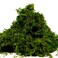 Melostu Fake Moss for Crafts Artificial Green Moss for Potted Plants Centerpieces Decor 35OZ