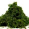 Melostu Fake Moss for Crafts Artificial Green Moss for Potted Plants Centerpieces Decor 35OZ