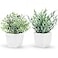 Der Rose 2 Pack Small Fake Plants Artificial Greenery Eucalyptus Plants in Pots for Bedroom Living Room Decor