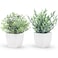 Der Rose 2 Pack Small Fake Plants Artificial Greenery Eucalyptus Plants in Pots for Bedroom Living Room Decor