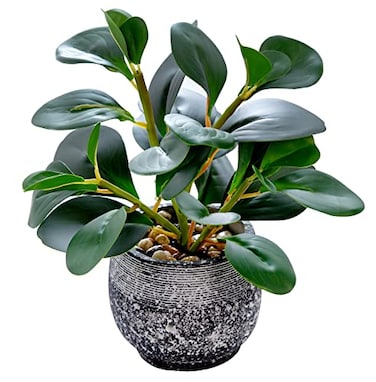AlphaAcc Artificial Plants Potted Real Looking Small Faux Plant with Rustic Black Cement Planter for Kitchen Office Desk Bookshelf Decor Ficus Plant