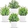 Der Rose 4 Pack Small Fake Plants Mini Artificial Faux Plants in Pots for Home Office Bedroom Living Room Decor