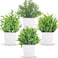 Der Rose 4 Pack Small Fake Plants Mini Artificial Faux Plants in Pots for Home Office Bedroom Living Room Decor