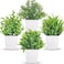 Der Rose 4 Pack Small Fake Plants Mini Artificial Faux Plants in Pots for Home Office Bedroom Living Room Decor