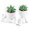 Der Rose Set of 2 Fake Plants Artificial Succulent Plants for Office Desk Accessories Bathroom Home Room Aesthetic Decor Indoor