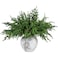 Yinder Xmas Norfolk Pine Branches with Pine Cones Norfolk Pine Artificial Xmas Branches for Xmas Indoor Outdoor Home Decor16 Pcs