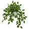 Briful Artificial Plants Indoor Fake Potted Silk Plants Faux Watermelon Peperomia Draping Plant for Home Office Bathroom Shelf Cabinet Tabletop DecorationGreen 1 Pack