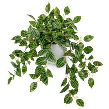Briful Artificial Plants Indoor Fake Potted Silk Plants Faux Watermelon Peperomia Draping Plant for Home Office Bathroom Shelf Cabinet Tabletop DecorationGreen 1 Pack