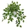 Briful Artificial Plants Indoor Fake Potted Silk Plants Faux Watermelon Peperomia Draping Plant for Home Office Bathroom Shelf Cabinet Tabletop DecorationGreen 1 Pack