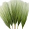 TENDER EPOCH 6 PCS Faux Pampas Grass Arrangement 1845cm Artificial Fluffy Pompous Grass Stems for Boho Chic Home and Wedding Decor Sage Green Gradient