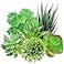QUOZUO Green Succulent Plants 6pcs Mini Fake Succulents Plants for DIY Crafting Home Floral Wall Office Decoration excluding pots