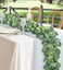 Chiyinbao Eucalyptus Garland 6FT Artificial Ivy Greenery Fake Silver Dollar Eucalyptus Leaves Vines Table Decor Green Vine Spring Artificial Vines for Home Mantle Party Decor IndoorOutdoor 1