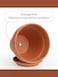 INGOFIN 12 Inch Terracotta Pot with Saucer Ceramic Clay Pot for Plants with Drainage Hole Large Terra Cotta Flower Planter with Tray for Indoor Outdoor Plants