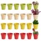 Juvale Mini Plastic Plant Pots Drainage Hole for Flower Pots Sturdy Planter for Indoor Plants Pack of 24 25 x 23 in Multicolor