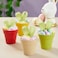 Juvale Mini Plastic Plant Pots Drainage Hole for Flower Pots Sturdy Planter for Indoor Plants Pack of 24 25 x 23 in Multicolor
