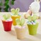 Juvale Mini Plastic Plant Pots Drainage Hole for Flower Pots Sturdy Planter for Indoor Plants Pack of 24 25 x 23 in Multicolor